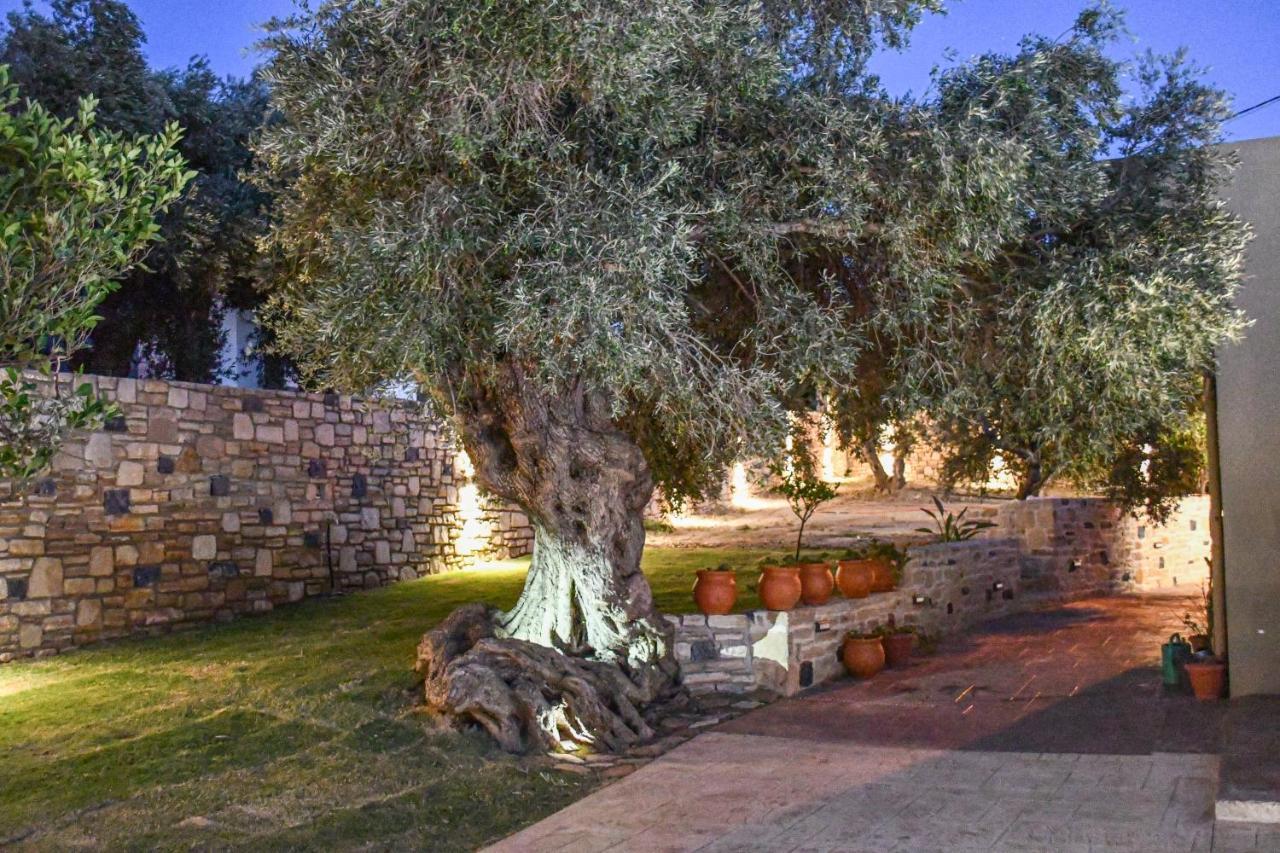 Paul'S Villa Plakias Bagian luar foto